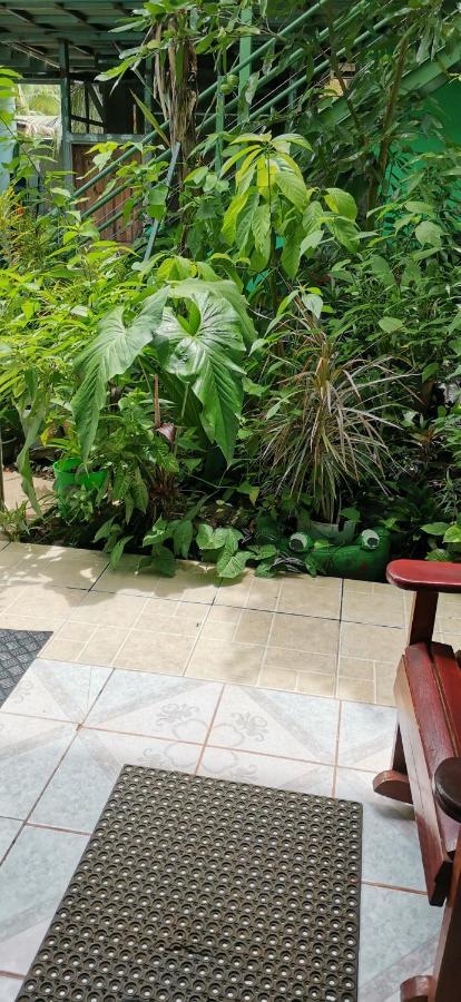 Cabinas Mitchaelle'S Puerto Viejo de Talamanca Ngoại thất bức ảnh