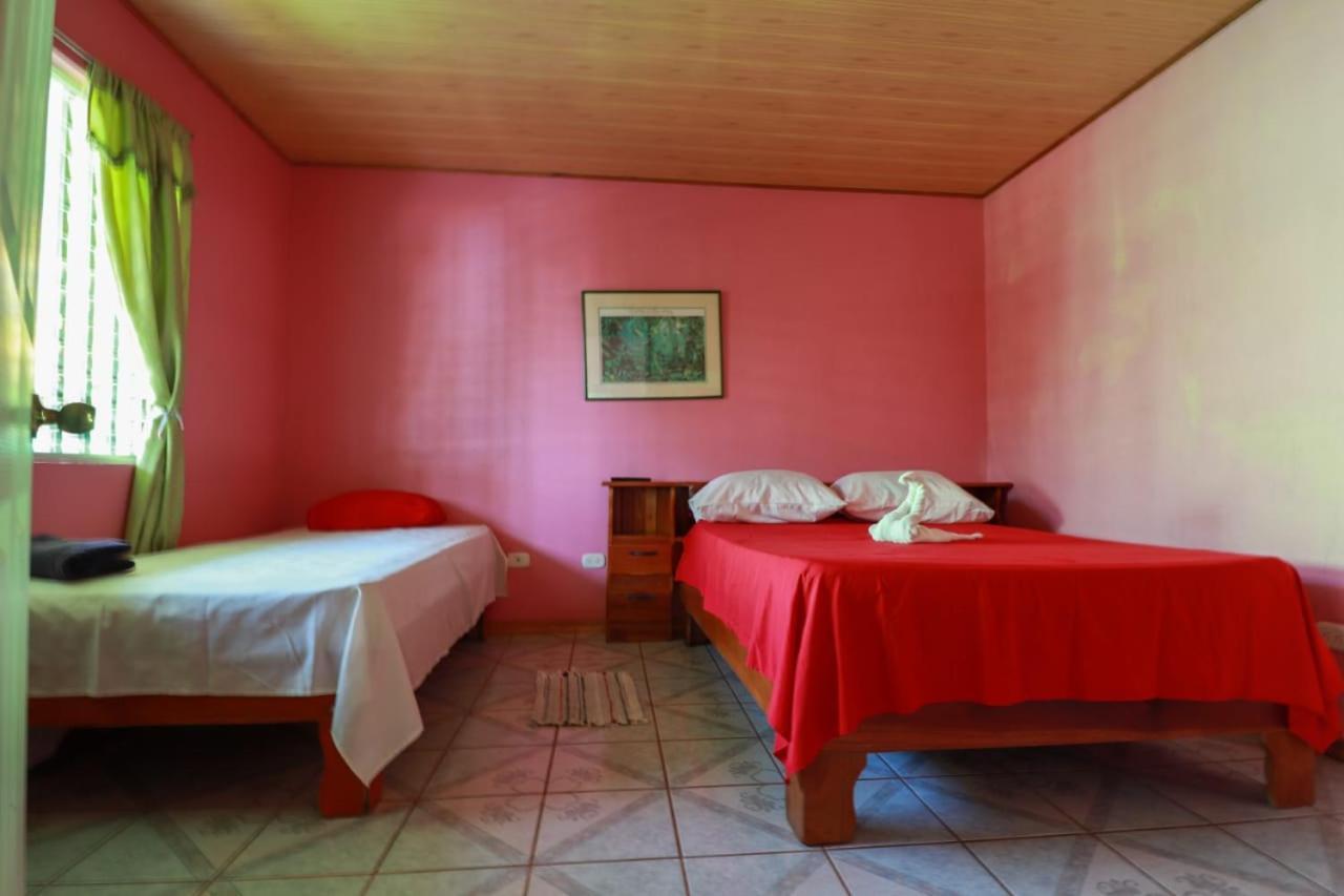 Cabinas Mitchaelle'S Puerto Viejo de Talamanca Ngoại thất bức ảnh
