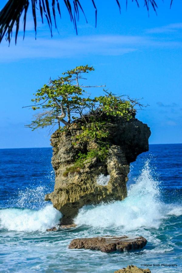 Cabinas Mitchaelle'S Puerto Viejo de Talamanca Ngoại thất bức ảnh