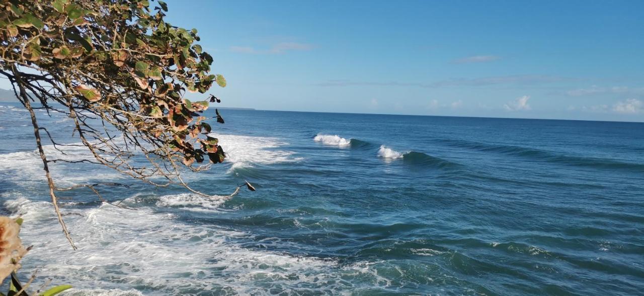 Cabinas Mitchaelle'S Puerto Viejo de Talamanca Ngoại thất bức ảnh